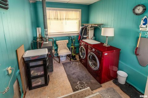 Tiny photo for 1318 OLIVE Street, Murphysboro, IL 62966 (MLS # EB459322)