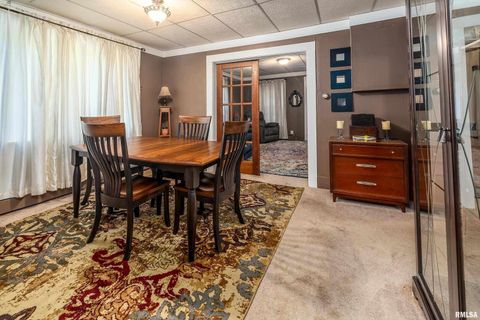 Tiny photo for 1318 OLIVE Street, Murphysboro, IL 62966 (MLS # EB459322)