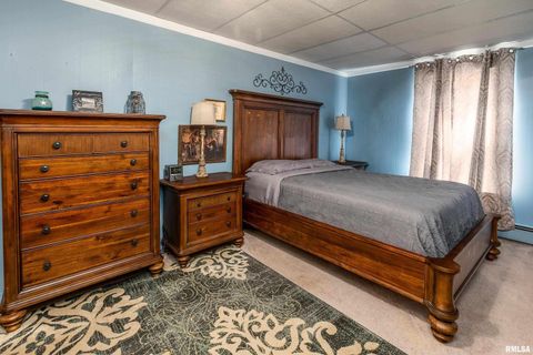 Tiny photo for 1318 OLIVE Street, Murphysboro, IL 62966 (MLS # EB459322)