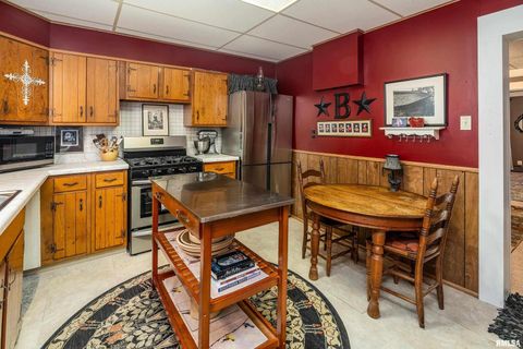 Tiny photo for 1318 OLIVE Street, Murphysboro, IL 62966 (MLS # EB459322)