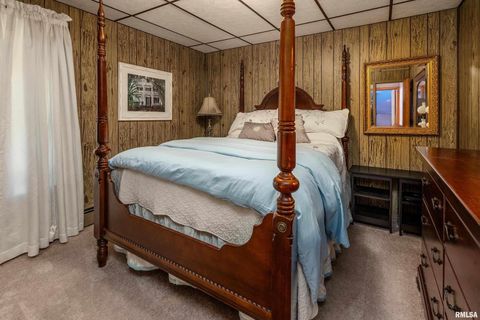 Tiny photo for 1318 OLIVE Street, Murphysboro, IL 62966 (MLS # EB459322)