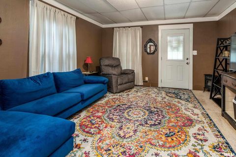 Tiny photo for 1318 OLIVE Street, Murphysboro, IL 62966 (MLS # EB459322)