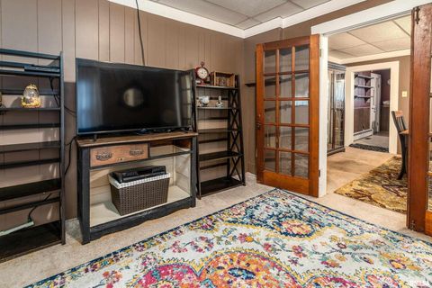 Tiny photo for 1318 OLIVE Street, Murphysboro, IL 62966 (MLS # EB459322)