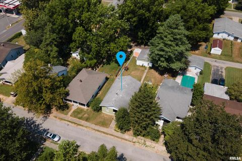 Tiny photo for 1318 OLIVE Street, Murphysboro, IL 62966 (MLS # EB459322)