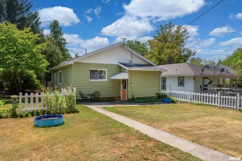 Tiny photo for 1318 OLIVE Street, Murphysboro, IL 62966 (MLS # EB459322)