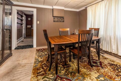 Tiny photo for 1318 OLIVE Street, Murphysboro, IL 62966 (MLS # EB459322)