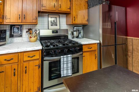 Tiny photo for 1318 OLIVE Street, Murphysboro, IL 62966 (MLS # EB459322)