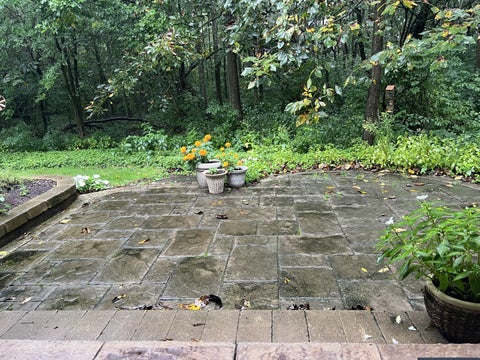 Tiny photo for 11119 Woodwind Lane, Huntley, IL 60142 (MLS # 12762565)