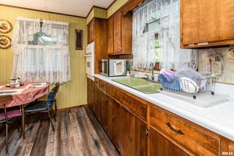 Tiny photo for 2943 N Rocky Comfort Road, Makanda, IL 62958 (MLS # QC4268375)