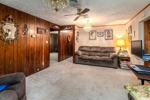Tiny photo for 2943 N Rocky Comfort Road, Makanda, IL 62958 (MLS # QC4268375)