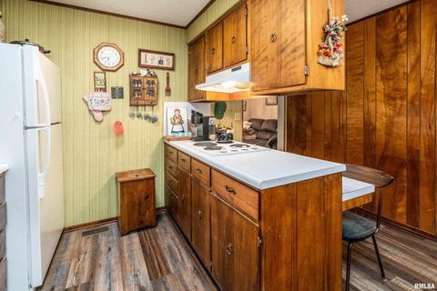 Tiny photo for 2943 N Rocky Comfort Road, Makanda, IL 62958 (MLS # QC4268375)