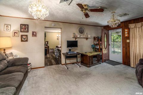 Tiny photo for 2943 N Rocky Comfort Road, Makanda, IL 62958 (MLS # QC4268375)