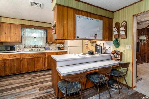 Tiny photo for 2943 N Rocky Comfort Road, Makanda, IL 62958 (MLS # QC4268375)