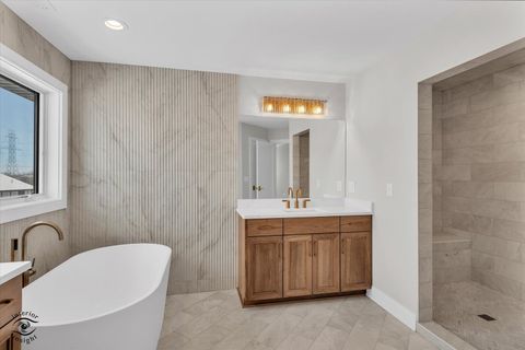 Tiny photo for 8858 Dunlap Reef Drive, Frankfort, IL 60423 (MLS # 12528044)