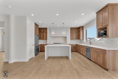 Tiny photo for 8858 Dunlap Reef Drive, Frankfort, IL 60423 (MLS # 12528044)