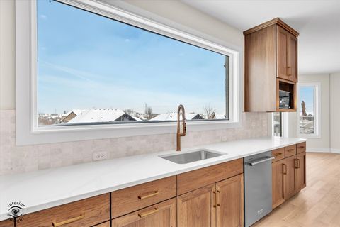 Tiny photo for 8858 Dunlap Reef Drive, Frankfort, IL 60423 (MLS # 12528044)