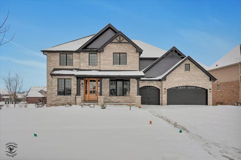 8858 Dunlap Reef Drive Frankfort IL 60423