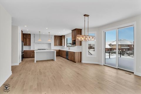 Tiny photo for 8858 Dunlap Reef Drive, Frankfort, IL 60423 (MLS # 12528044)