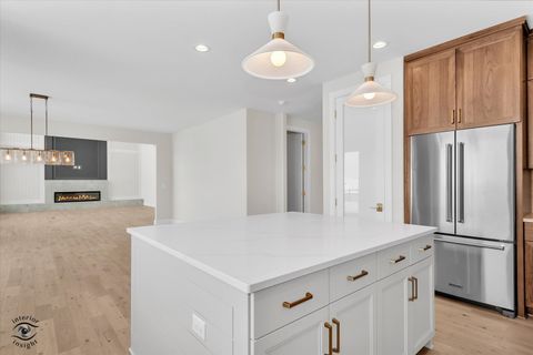 Tiny photo for 8858 Dunlap Reef Drive, Frankfort, IL 60423 (MLS # 12528044)