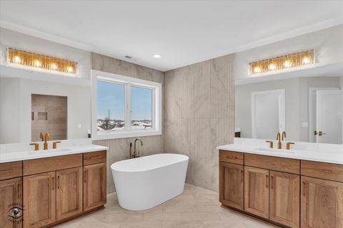 Tiny photo for 8858 Dunlap Reef Drive, Frankfort, IL 60423 (MLS # 12528044)