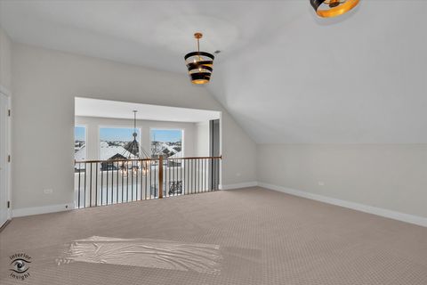 Tiny photo for 8858 Dunlap Reef Drive, Frankfort, IL 60423 (MLS # 12528044)