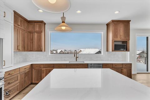 Tiny photo for 8858 Dunlap Reef Drive, Frankfort, IL 60423 (MLS # 12528044)