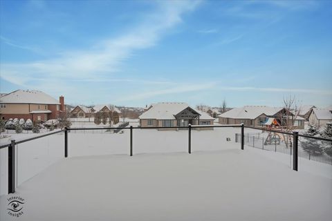 Tiny photo for 8858 Dunlap Reef Drive, Frankfort, IL 60423 (MLS # 12528044)