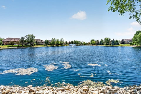 Tiny photo for 571 Northern Lights Way, New Lenox, IL 60451 (MLS # 12566869)