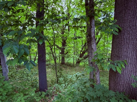 Tiny photo for 8811 Ryan Court, Kingston, IL 60145 (MLS # 12792818)