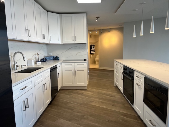 505 N Lake Shore Drive 1006