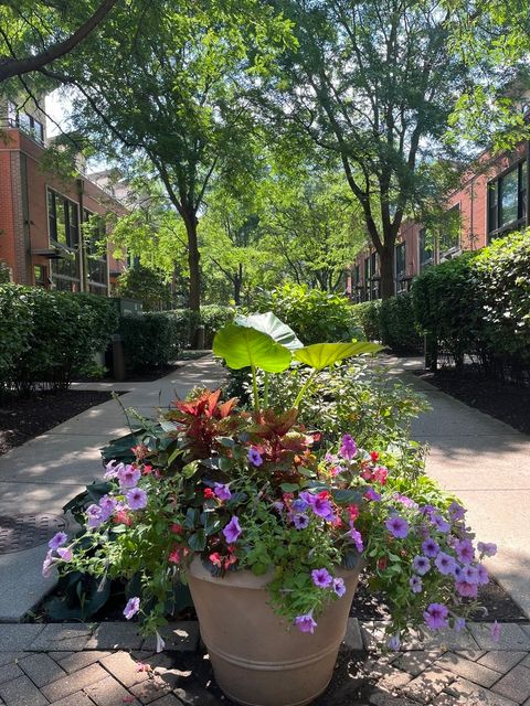 Tiny photo for 954 N Crosby Street, Chicago, IL 60610 (MLS # 12472163)
