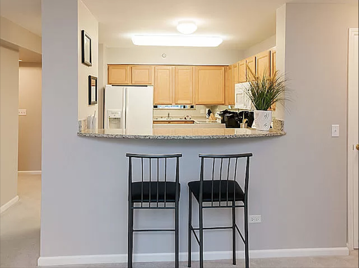 345 N La Salle Drive 2505