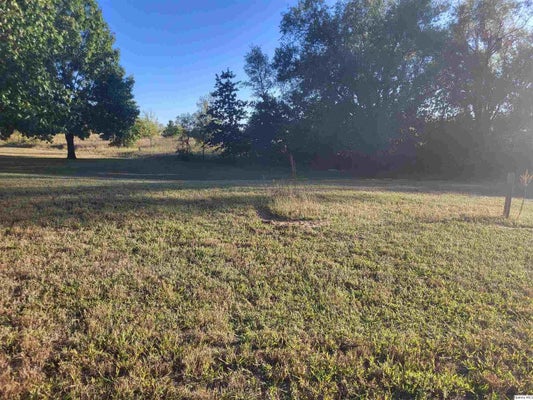 1125 EAGLE DR, MEREDOSIA, IL 62665 - Image 88f237013a41bf02ee77d32cd228128e/3319787247