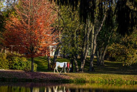 Tiny photo for 204 Country Commons Road, Trout Valley, IL 60013 (MLS # 12490335)