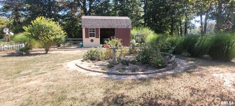 Tiny photo for 1670 WOODS Lane, Centralia, IL 62801 (MLS # EB459868)