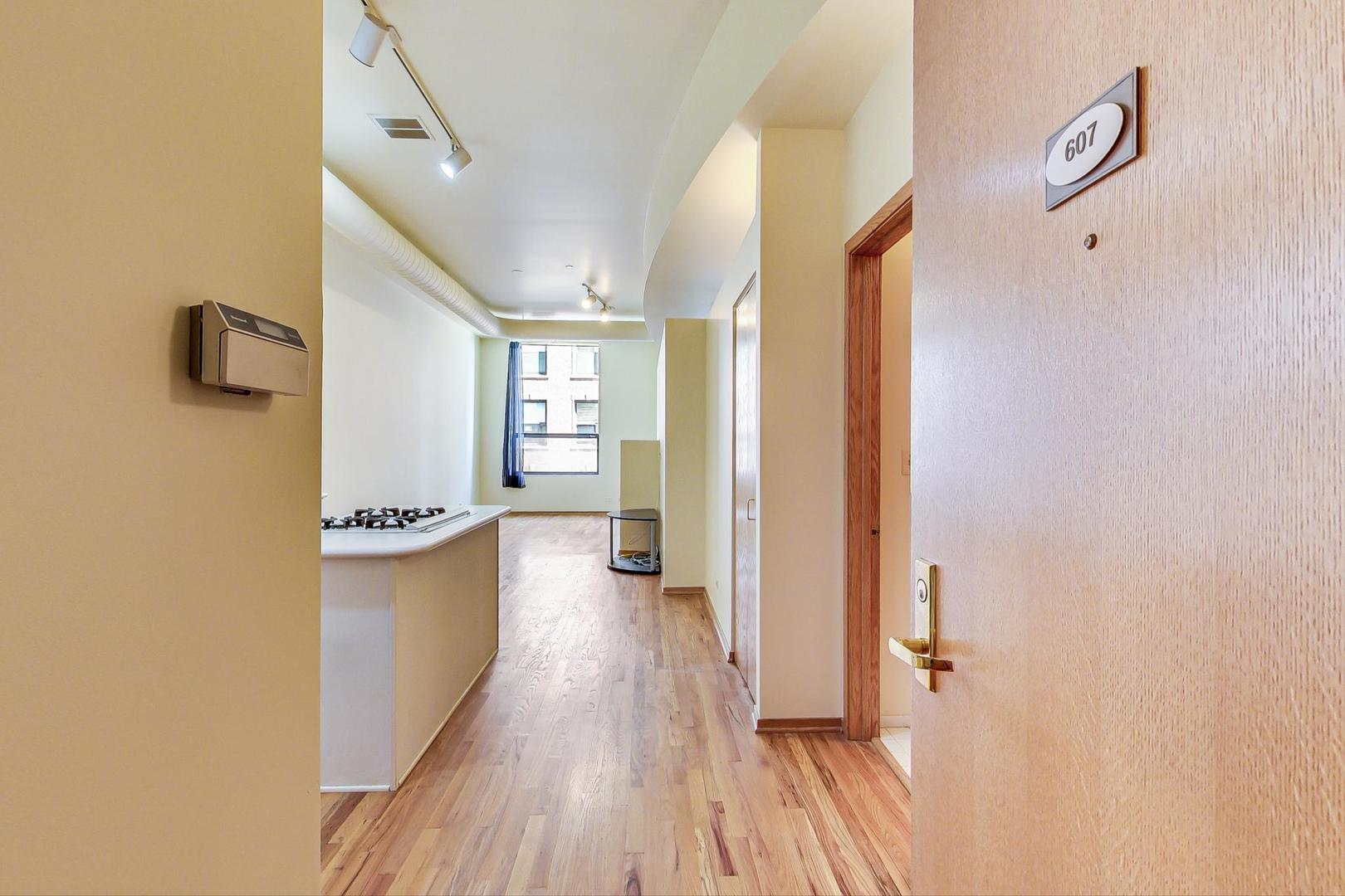 910 S Michigan Avenue 607