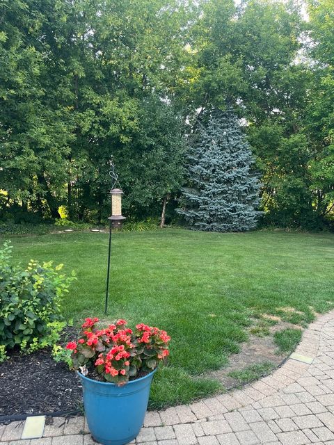 Tiny photo for 2191 Litchfield Lane, Lake In The Hills, IL 60156 (MLS # 12441061)