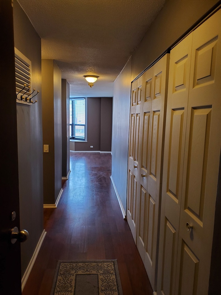 899 S Plymouth Court 1210