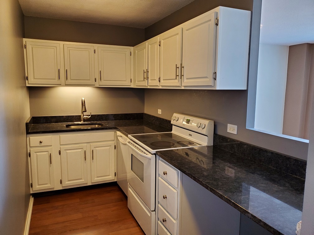 899 S Plymouth Court 1210