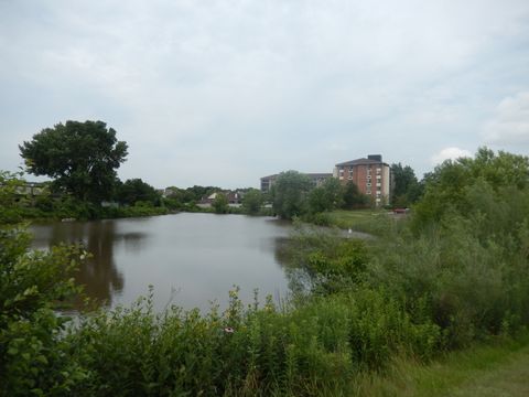 Tiny photo for 75 Kristin Circle #516, Schaumburg, IL 60195 (MLS # 12506771)