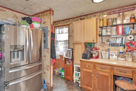 Tiny photo for Wilmington, IL 60481 (MLS # 12607390)