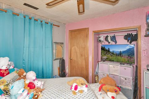 Tiny photo for Wilmington, IL 60481 (MLS # 12607390)