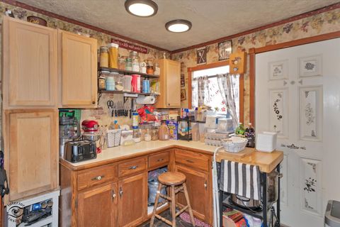 Tiny photo for Wilmington, IL 60481 (MLS # 12607390)