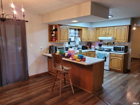 Tiny photo for 469 E MAIN Street, Radom, IL 62876 (MLS # EB460573)