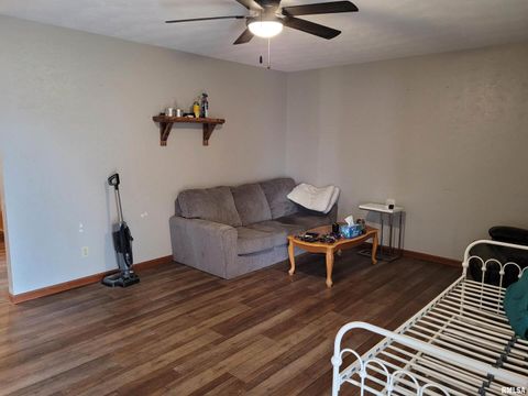 Tiny photo for 469 E MAIN Street, Radom, IL 62876 (MLS # EB460573)