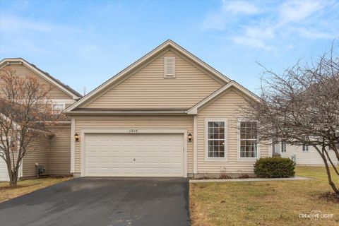 Photo of 1215 Violet Lane, Joliet, IL 60431 (MLS # 12543892)