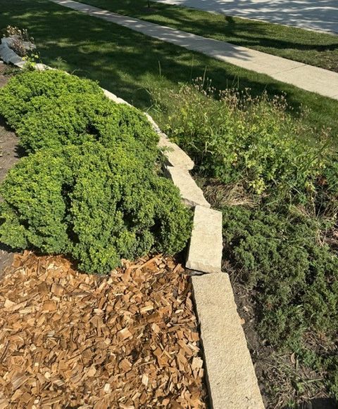 Tiny photo for 416 Trinity Court, Buffalo Grove, IL 60089 (MLS # 12534701)