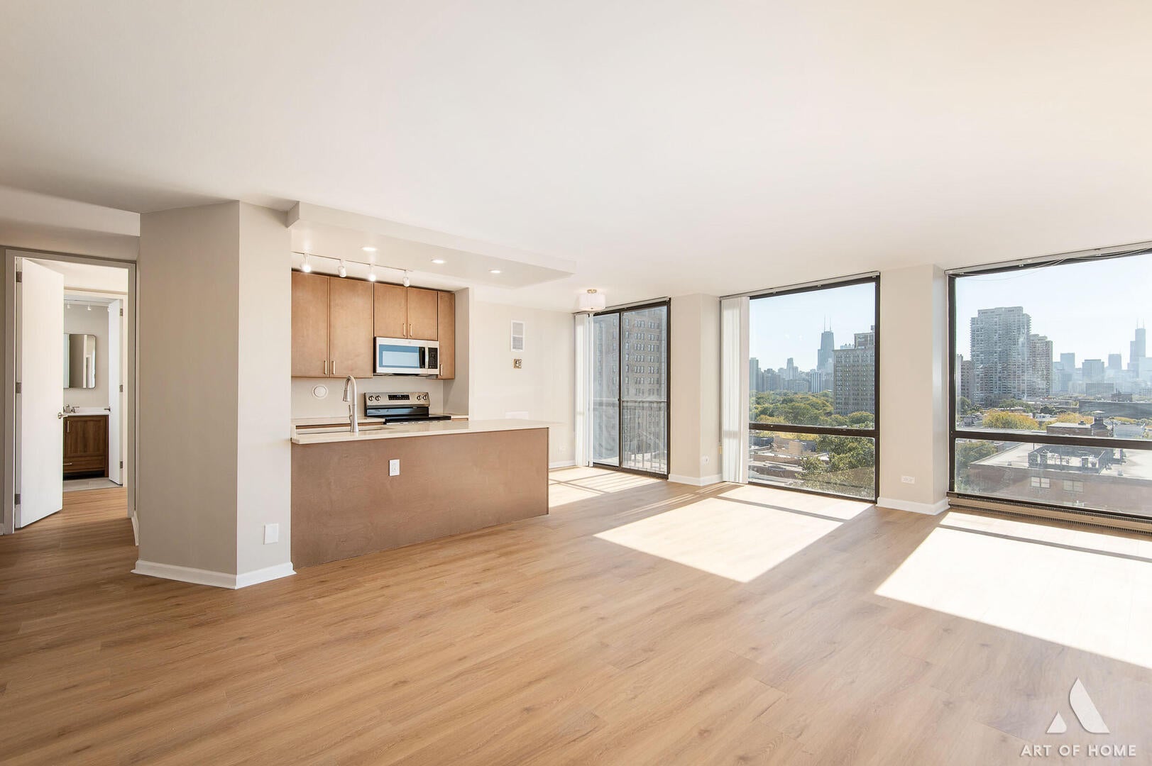345 W Fullerton Parkway 1205
