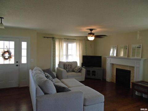 Tiny photo for 119 14TH Avenue, De Witt, IA 52742 (MLS # QC4268081)