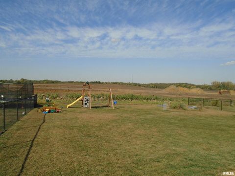 Tiny photo for 119 14TH Avenue, De Witt, IA 52742 (MLS # QC4268081)